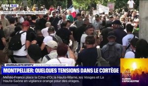 Montpellier: des tensions entre militants d'extrême droite et d'extrême gauche observées  lors de la manifestation anti-pass