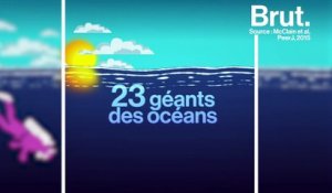 23 géants des océans