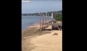 Rouler en SUV sur la plage : risqué