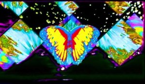 King Gizzard & The Lizard Wizard - Butterfly 3000