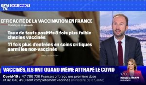 Où en est-on sur les études concernant l'efficacité des vaccins ?