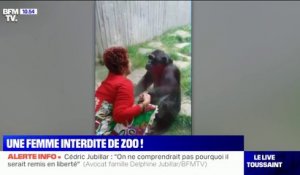Trop proche d'un chimpanzé, une femme interdite de zoo à Anvers