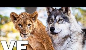 LE LOUP ET LE LION Bande Annonce VF (2021)