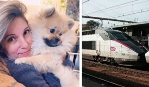 Son chien est mort de chaud dans un train de la SNCF, elle se voit offrir... un bon d'achat