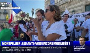 Plusieurs milliers de manifestants mobilisés à Montpellier contre le pass sanitaire