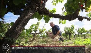 Attentats du 11-septembre : l'histoire d'un couple de New-yorkais devenu vignerons français