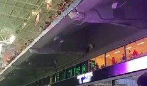 Un chat sur le point de faire une chute mortelle de plusieurs mètres mobilise le public cette nuit au Hard Rock Stadium de Miami