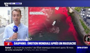 Hugo Clément interpelle "tous les représentants de l'Union européenne" dont "le gouvernement français" sur le massacre de dauphins aux Îles Féroé