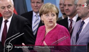Allemagne : dix ans après la décision d'Angela Merkel de sortir du nucléaire, quel bilan pour le pays en termes d'écologie ?