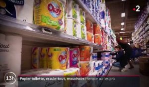 Pouvoir d’achat : le prix du papier toilette menacé d’augmentation