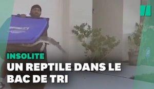 Ce vétéran américain est devenu un héros en capturant un alligator avec une poubelle