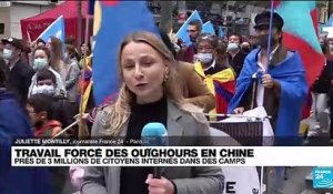 Manifestation à Paris pour la reconnaissance du "génocide Ouïghours"