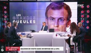 Le monde de Macron : Macron en visite dans un refuge de la SPA - 04/10