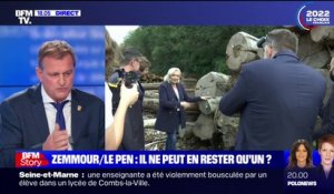 Pour Louis Aliot, maire RN de Perpignan, Marine Le Pen a "une plus grande proximité sociale qu'Éric Zemmour"