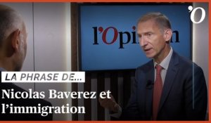 Nicolas Baverez: «L’immigration n’est pas responsable des 40 années de déclin de la France»