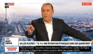 Gilles Platret, vice-président des Républicains, provoque une polémique dans "Morandini Live" en affirmant; "Il y a une épuration ethnique dans certains quartiers contre les natifs" - VIDEO