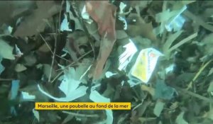 Pollution à Marseille : le nettoyage de la mer semble sans fin
