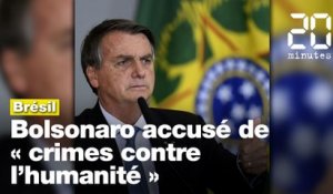 Déforestation : une ONG autrichienne dépose une plainte pour « crimes contre l'humanité » contre Bolsonaro