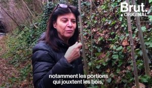 La Petite ceinture : un écosystème sauvage à Paris