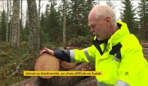 Suède : les forêts vont-elles disparaître pour lutter contre le réchauffement climatique ?