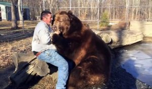 Un homme fait des câlins à un ours de 700 kg