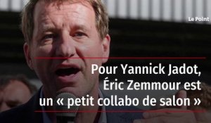 Pour Yannick Jadot, Éric Zemmour est un « petit collabo de salon »