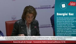 Hausse des prix de l'énergie : l'économiste Frédéric Gonand auditionné - Les matins du Sénat (18/10/2021)
