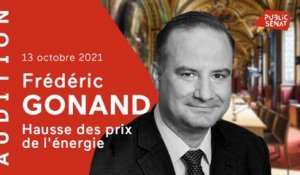 Hausse des prix de l'énergie : l'économiste Frédéric Gonand auditionné au Sénat (13/10)