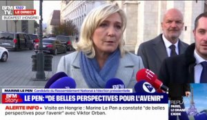 Pour Marine Le Pen, sa rencontre avec Viktor Orbán s'est faite dans un "cadre politique", celui "d'un accueil officiel"