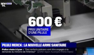 Traitement contre le Covid-19: la France commande 50.000 doses de la pilule du laboratoire Merck