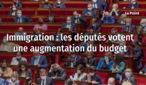 Immigration : les députés votent une augmentation du budget