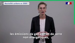 Présentation de la Stratégie nationale bas-carbone, Alix MENAHEM - Ministère de la transition écologique