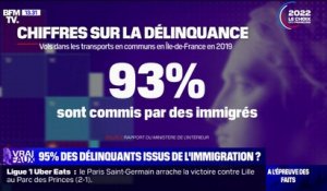 LA VÉRIF - 95% de la délinquance est-elle liée à l'immigration ?