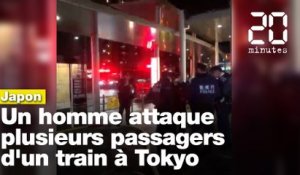 Japon : Un homme arrêté après avoir poignardé plusieurs passagers d'un train à Tokyo