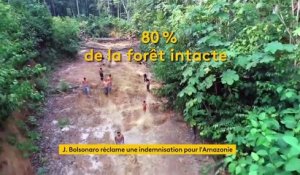 Brésil : Jair Bolsonaro demande une indemnisation dans le cadre de la préservation de l’Amazonie