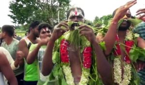 En Inde, une bataille de bouses de vache pour marquer la fin de Diwali
