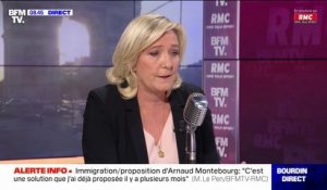 "À quoi sert sa candidature?": pour Marine Le Pen, Éric Zemmour "n'a pas la capacité de gagner face à Emmanuel Macron"