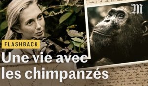 Ce que les singes ont appris à Jane Goodall - Flashback