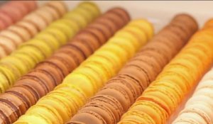 Terroir - Macaron : l'incontournable de la pâtisserie