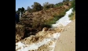 4 morts et des centaines de piqûres de scorpions après des pluies diluviennes en Egypte
