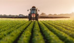 France : d'ici six mois, l'utilisation de pesticides sera interdite dans toutes les zones Natura 2000