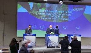 Déforestation : l'UE veut verdir ses importations, les ONG regrettent des lacunes