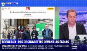 À Bordeaux, la cigarette bannie devant les écoles