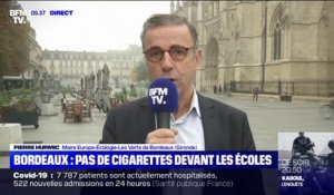 Interdiction des cigarettes devant les écoles: le maire de Bordeaux estime qu'il s'agit d'une "mesure de protection pour les enfants"