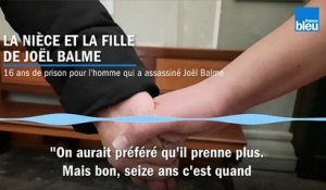 Affaire Balme - Seize ans de prison pour l'accusé : "On aurait préféré qu'il prenne plus"