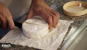 "Le camembert de Normandie doit rester au lait cru" : l'artisan fromager Pierre Coulon se bat à Camembert contre la pasteurisation