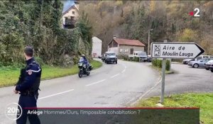 Ariège : après avoir été blessé, un chasseur tue une ourse