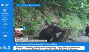 Débat sur l'ours dans les Pyrénées