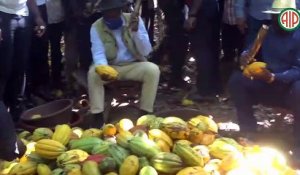 Région-Divo / Le ministre Adjoumani et le président du Fonds international de développement agricole (FIDA) en visite de terrain à Divo