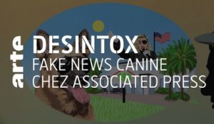 Fake news canine chez Associated Press | Désintox | ARTE
